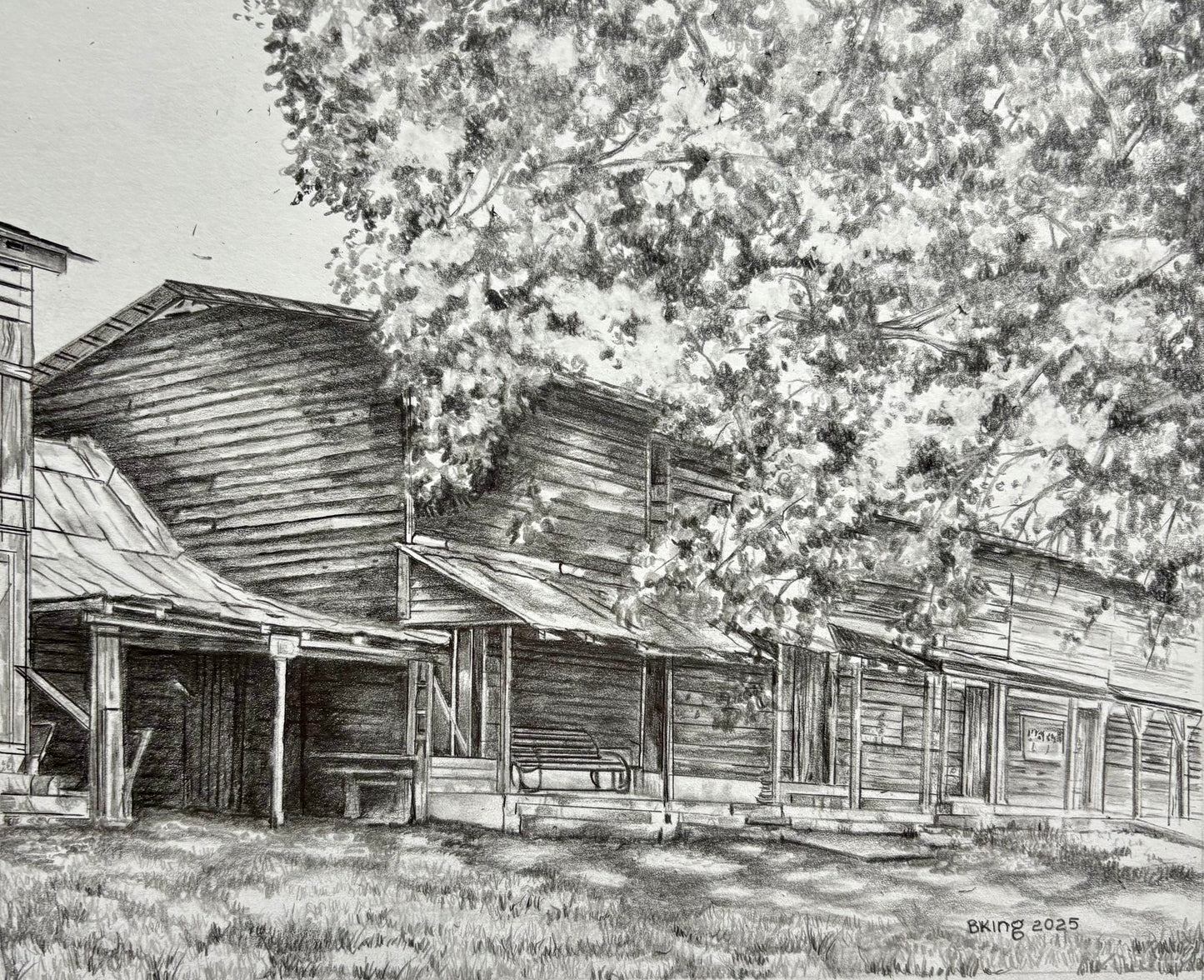 Campground Tents