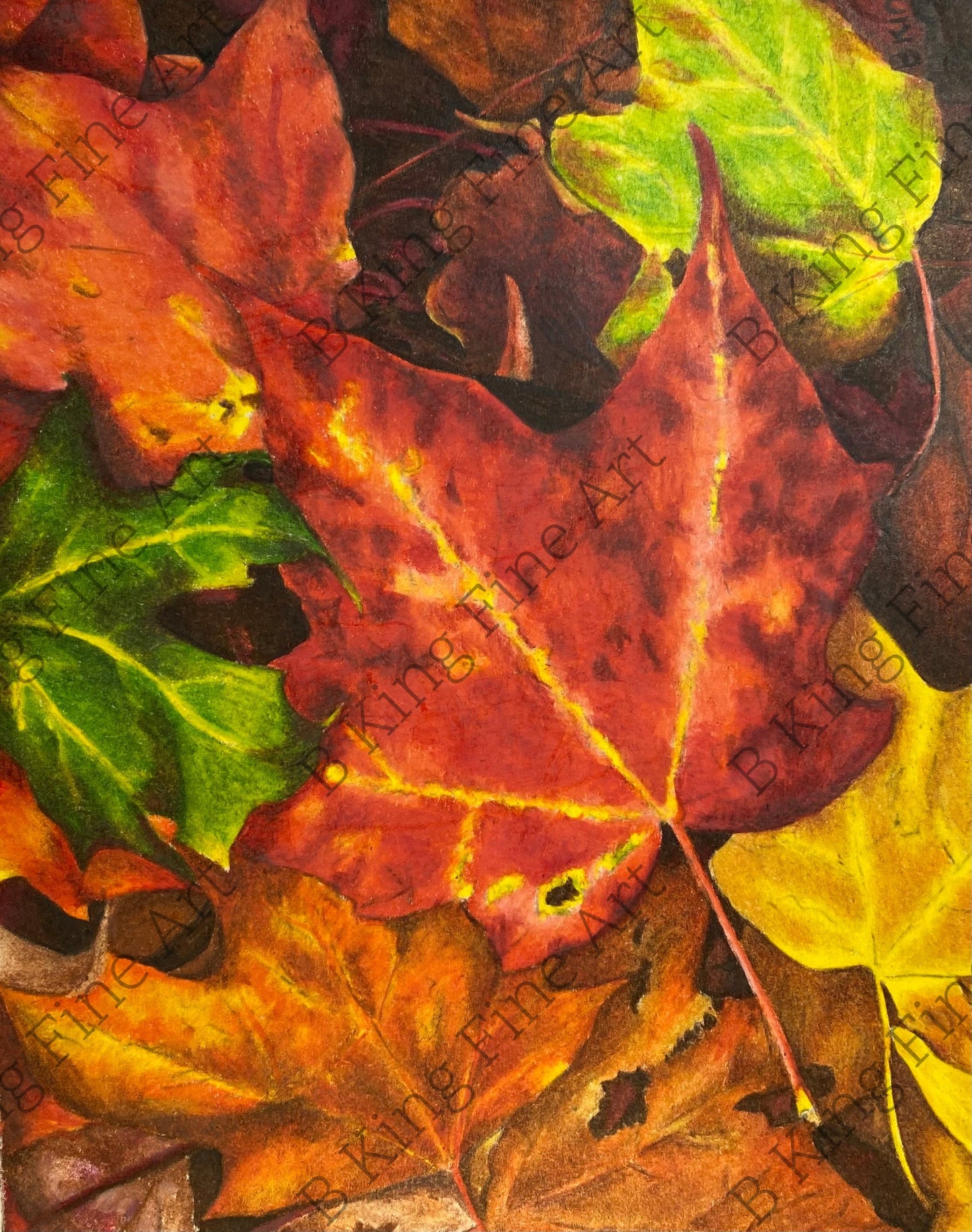 Maple Leaf