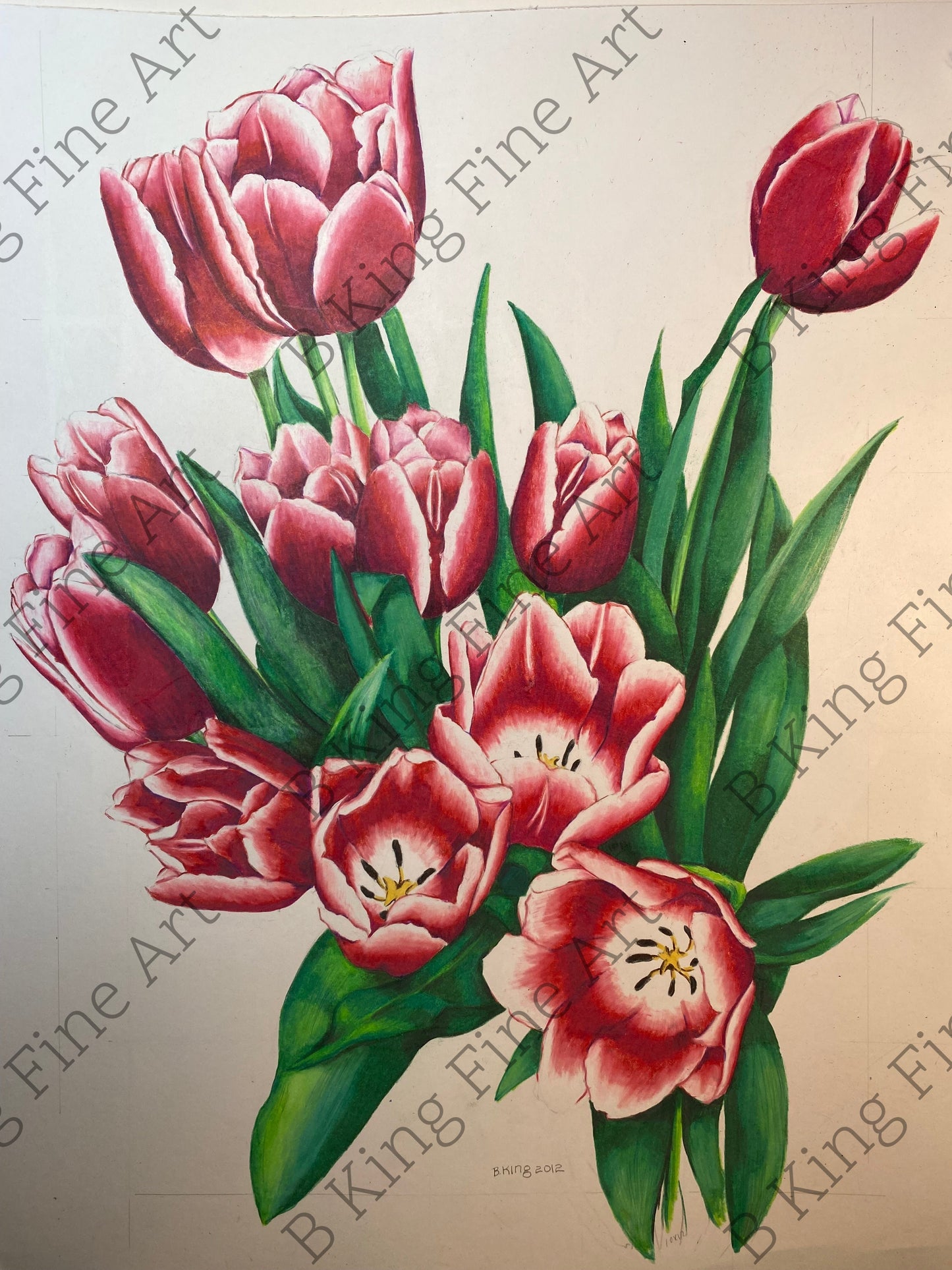 Red Tulips