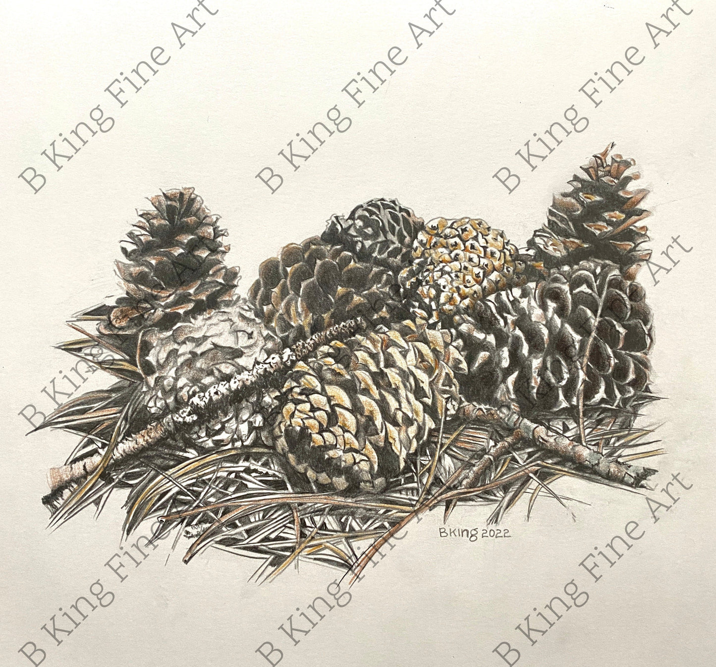 North Carolina Pinecones