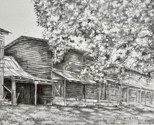 Campground Tents