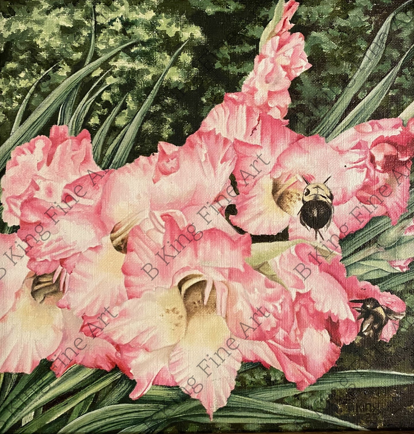 Gladiola