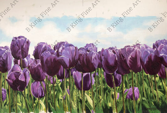 Purple Tulips