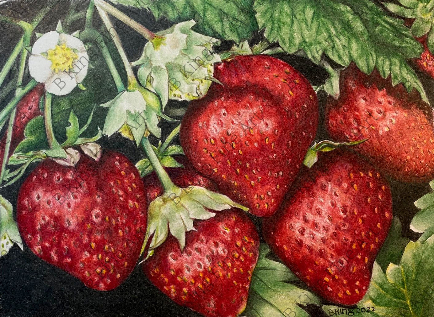 Strawberries