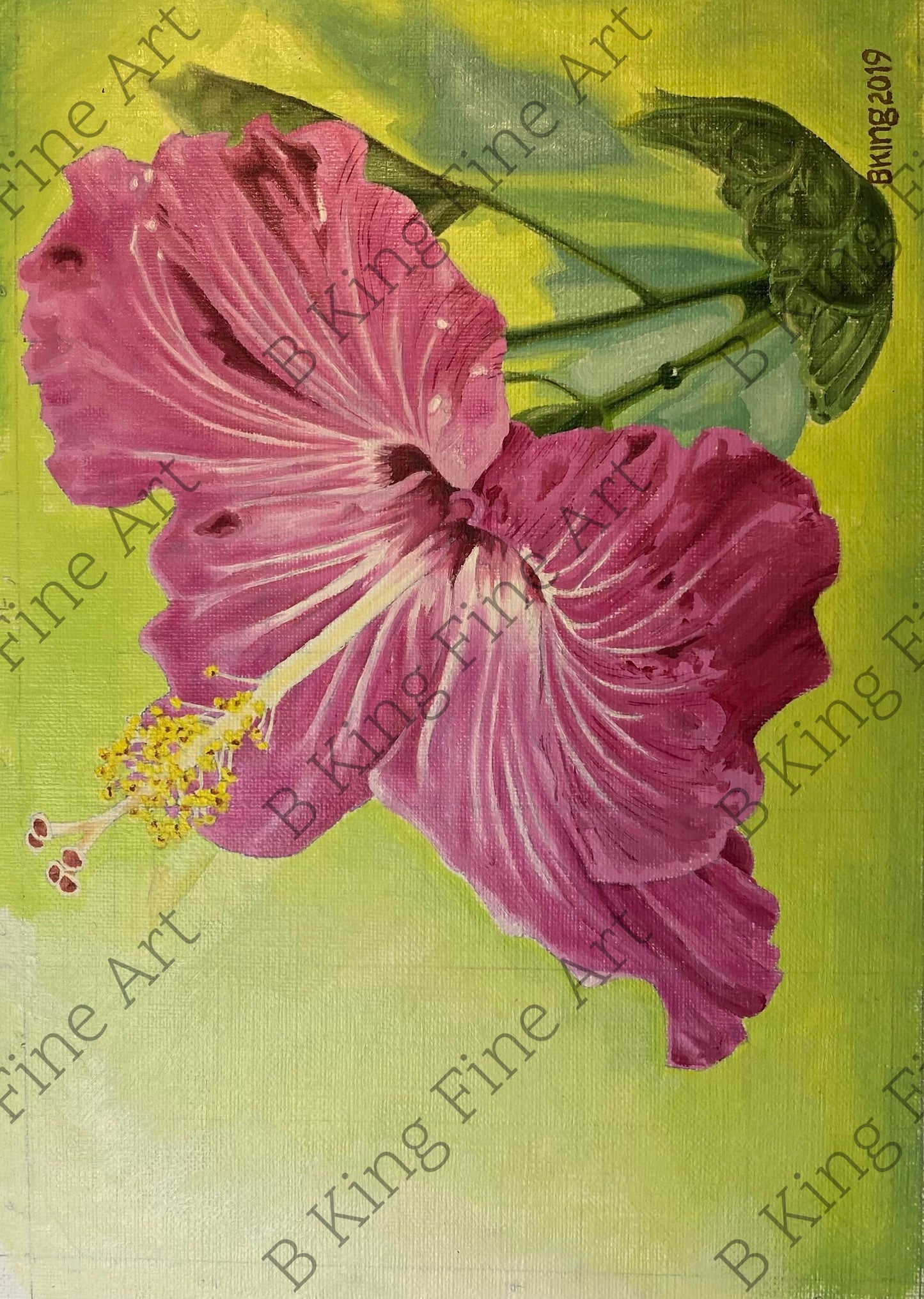 Hibiscus #2