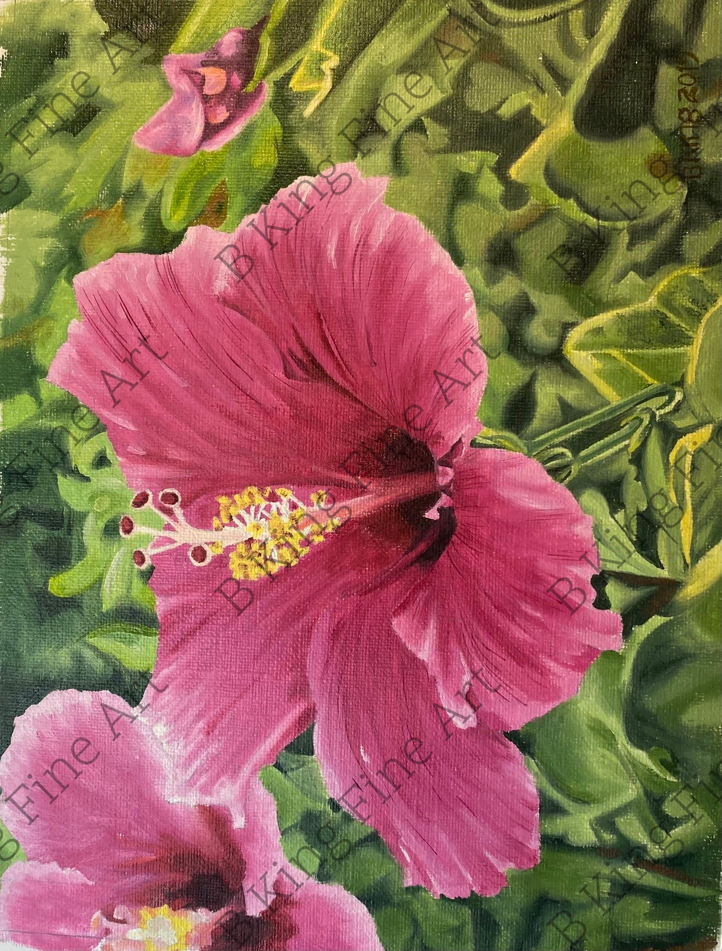 Hibiscus #1