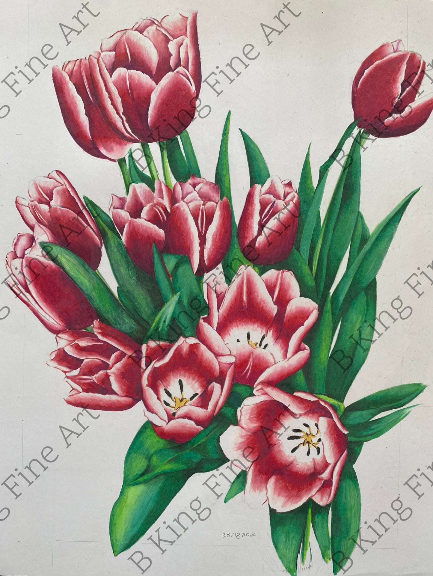 Red Tulips